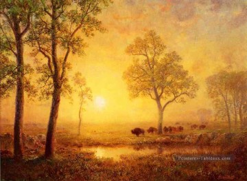 Coucher de soleil sur la Montagne Albert Bierstadt Peinture à l'huile